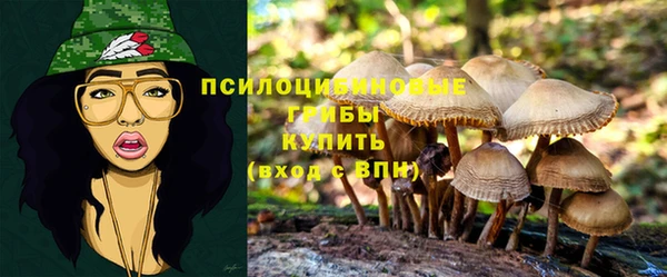 прущая мука Беломорск