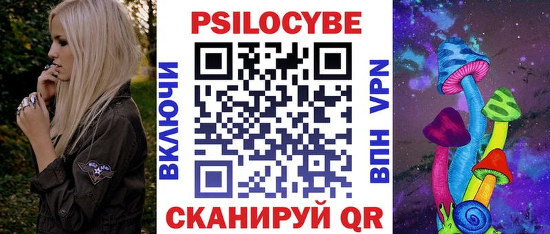 Псилоцибиновые грибы Psilocybe закладки Братск